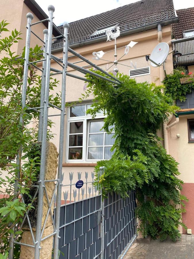 Pension - Gaestehaus Zum Pfaelzerwald Hinterweidenthal Ngoại thất bức ảnh