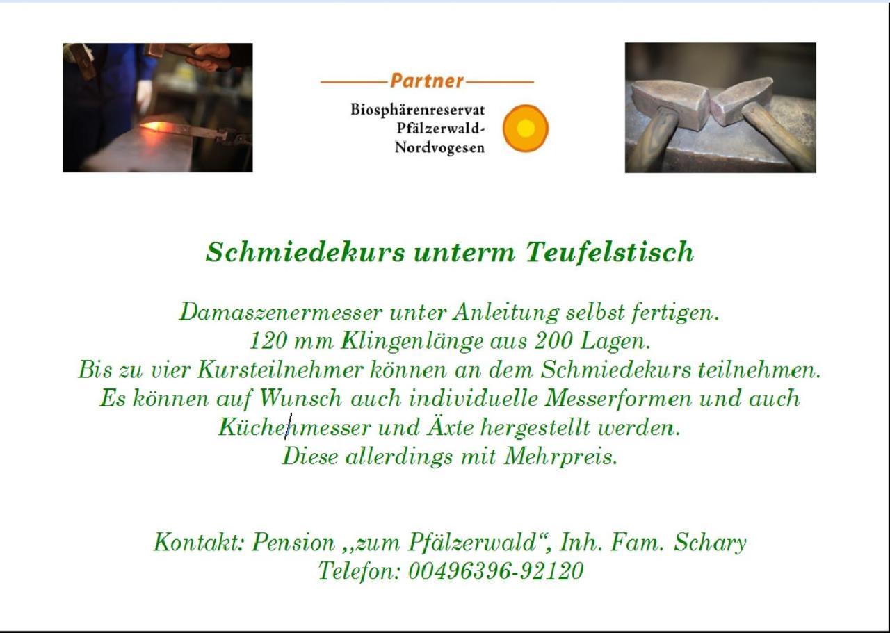 Pension - Gaestehaus Zum Pfaelzerwald Hinterweidenthal Ngoại thất bức ảnh